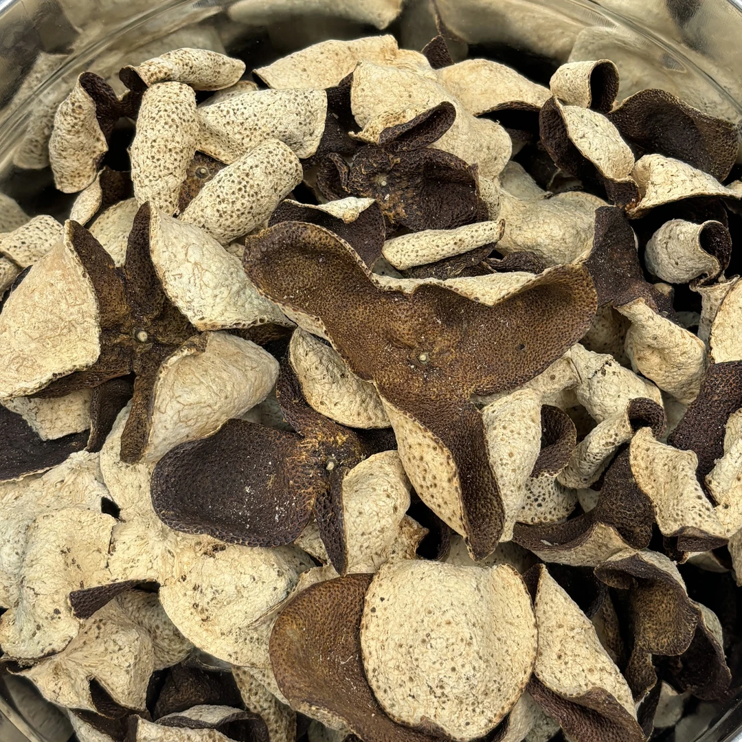 2020年正宗天马二红皮甘甜清香【6-7年圈枝壮树】新会陈皮核心产区