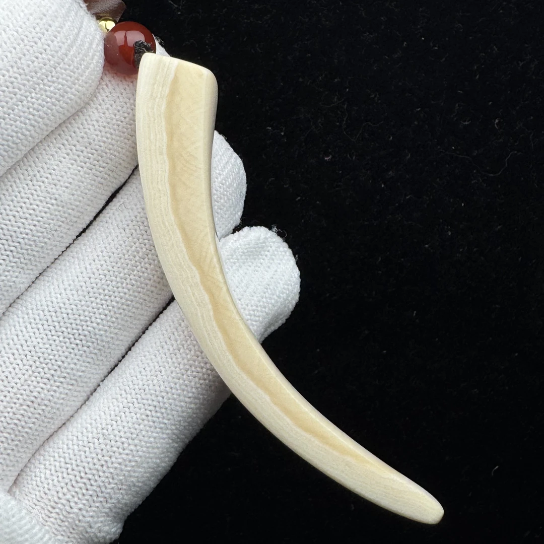 B1875天然猛犸牙尖 79mm支持鉴定 假一罚四