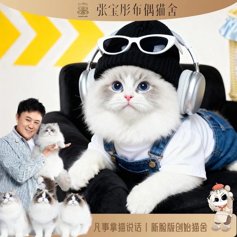 张宝彤布偶猫舍-胡一圈 | 新脸版布偶猫舍
