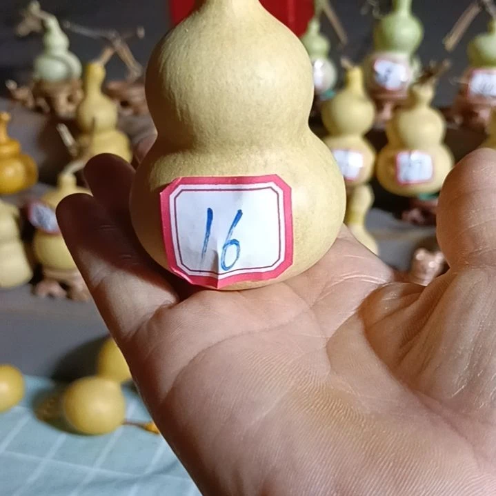16号一物一拍一个账号