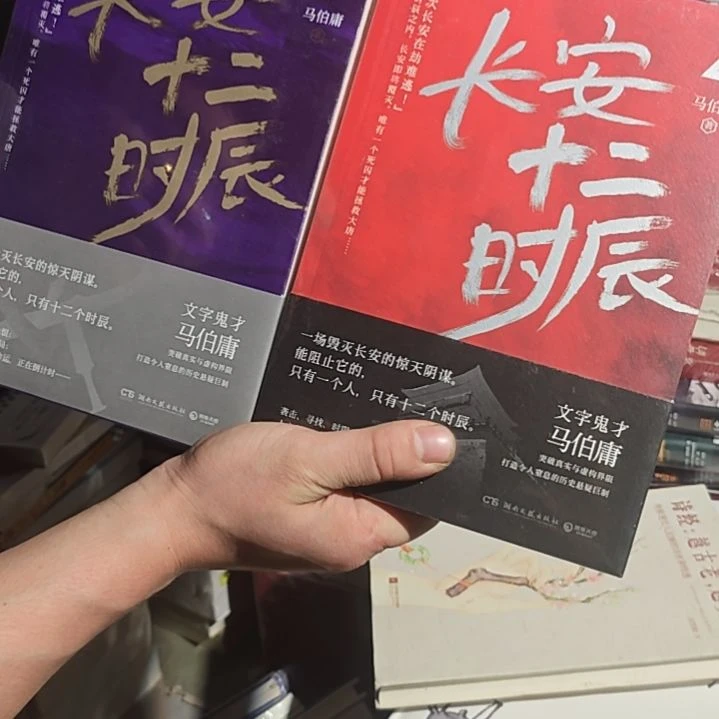 长安十二时辰两本一套平装库存书