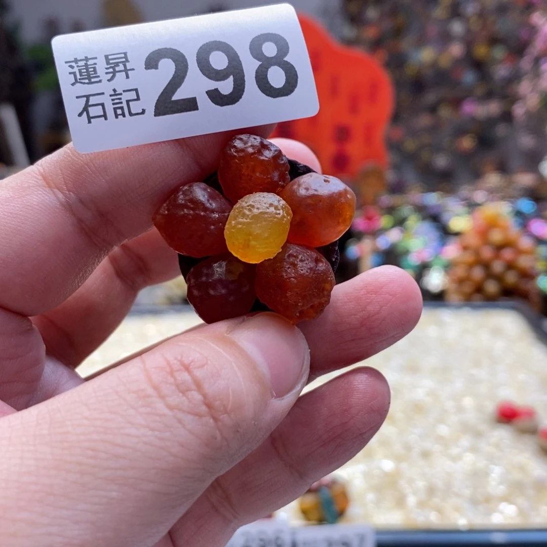 核桃木/黑胡桃（胡桃木）298