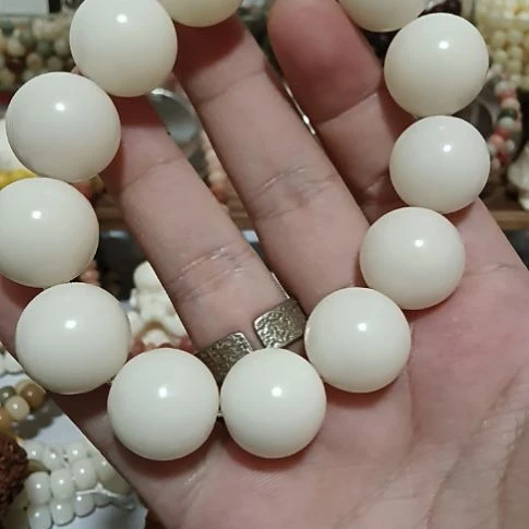 菩提根/象牙果手串