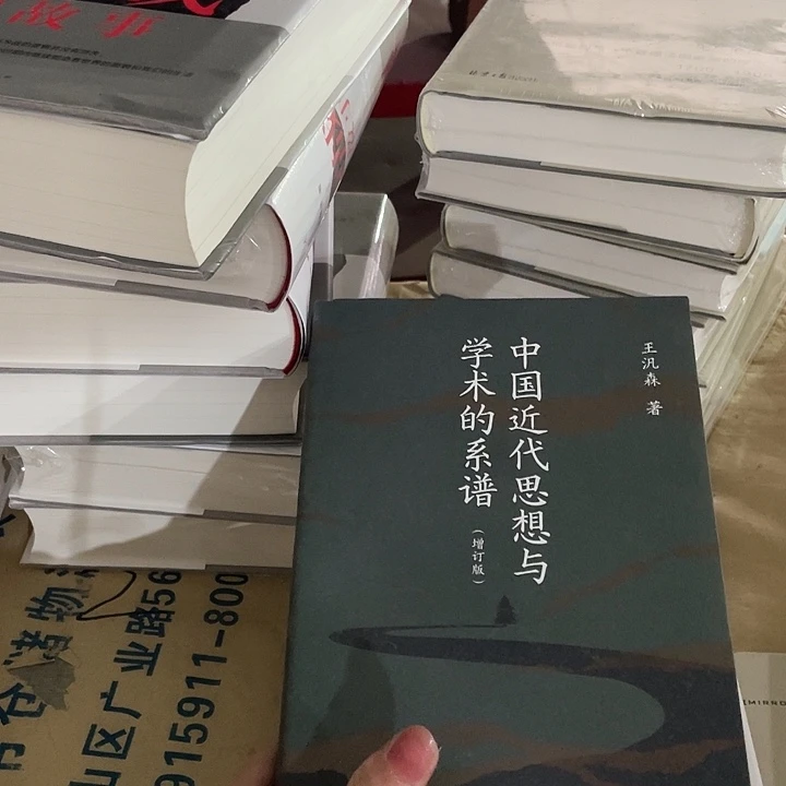 中国近代思想与学术的谱系瑕疵