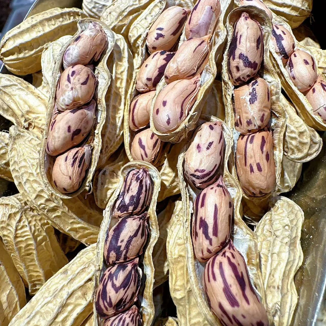 云南七彩花生新货