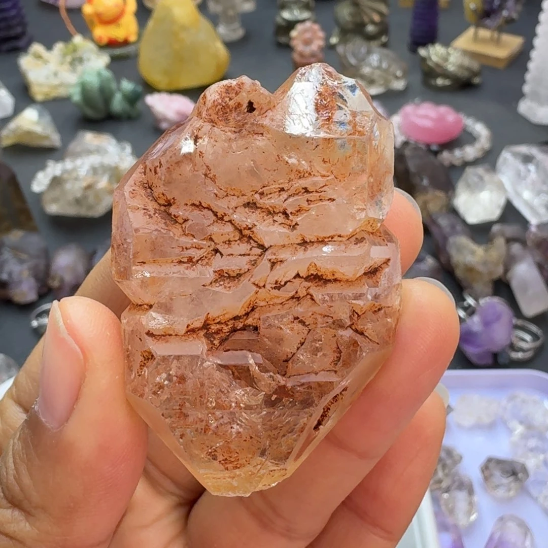 石头红骸骨双尖的