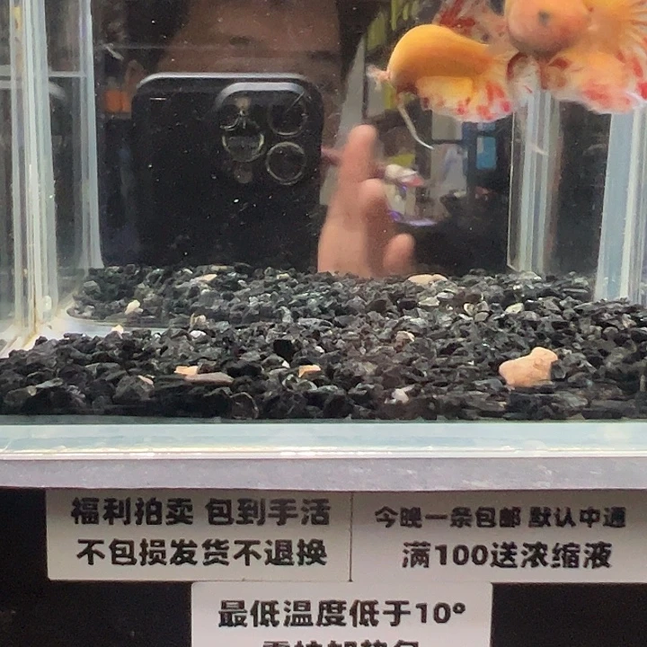 斗鱼跑单拉黑13日43