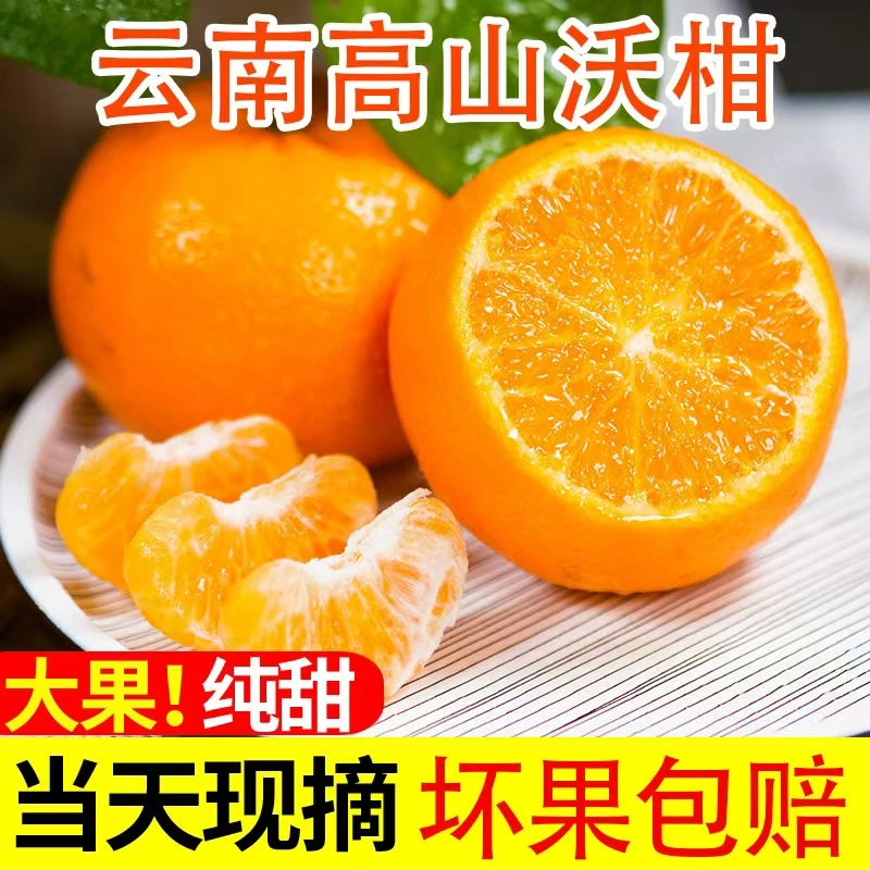 云南高山沃柑现摘现发5/9斤当季水果鲜嫩柑橘肉厚饱满果味浓郁
