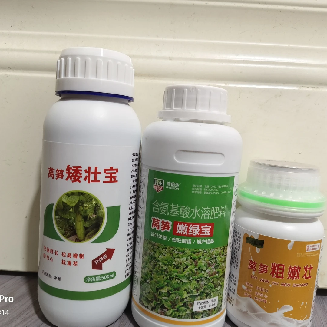 莴壮宝和莴笋矮壮宝加莴笋粗嫩壮，快速展叶，控旺防裂口。