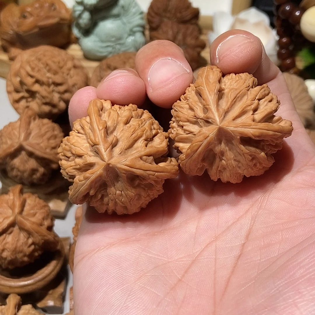 御龙粗筋，40.36，全品
