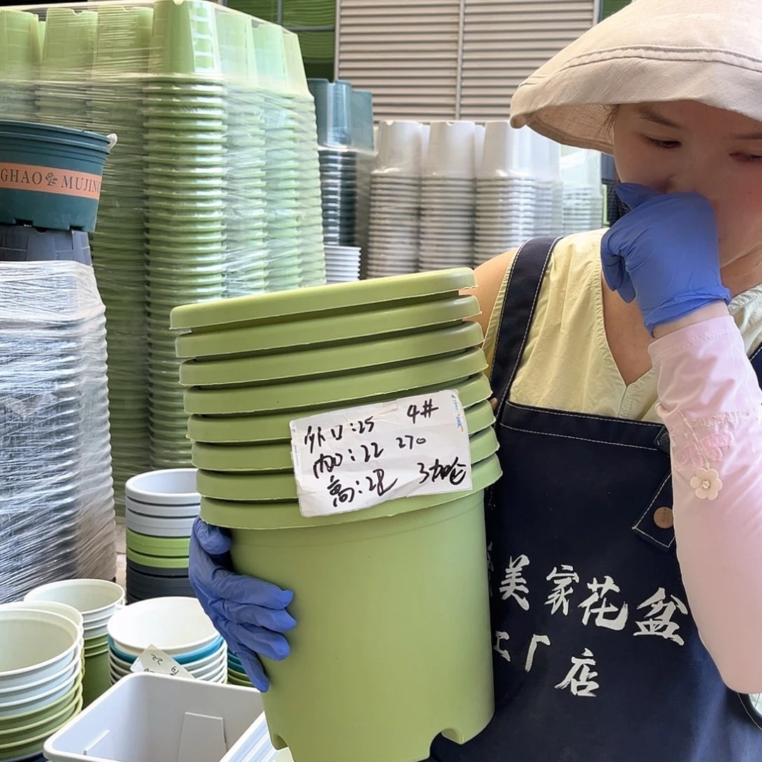 四季盆4#果绿色8个无托