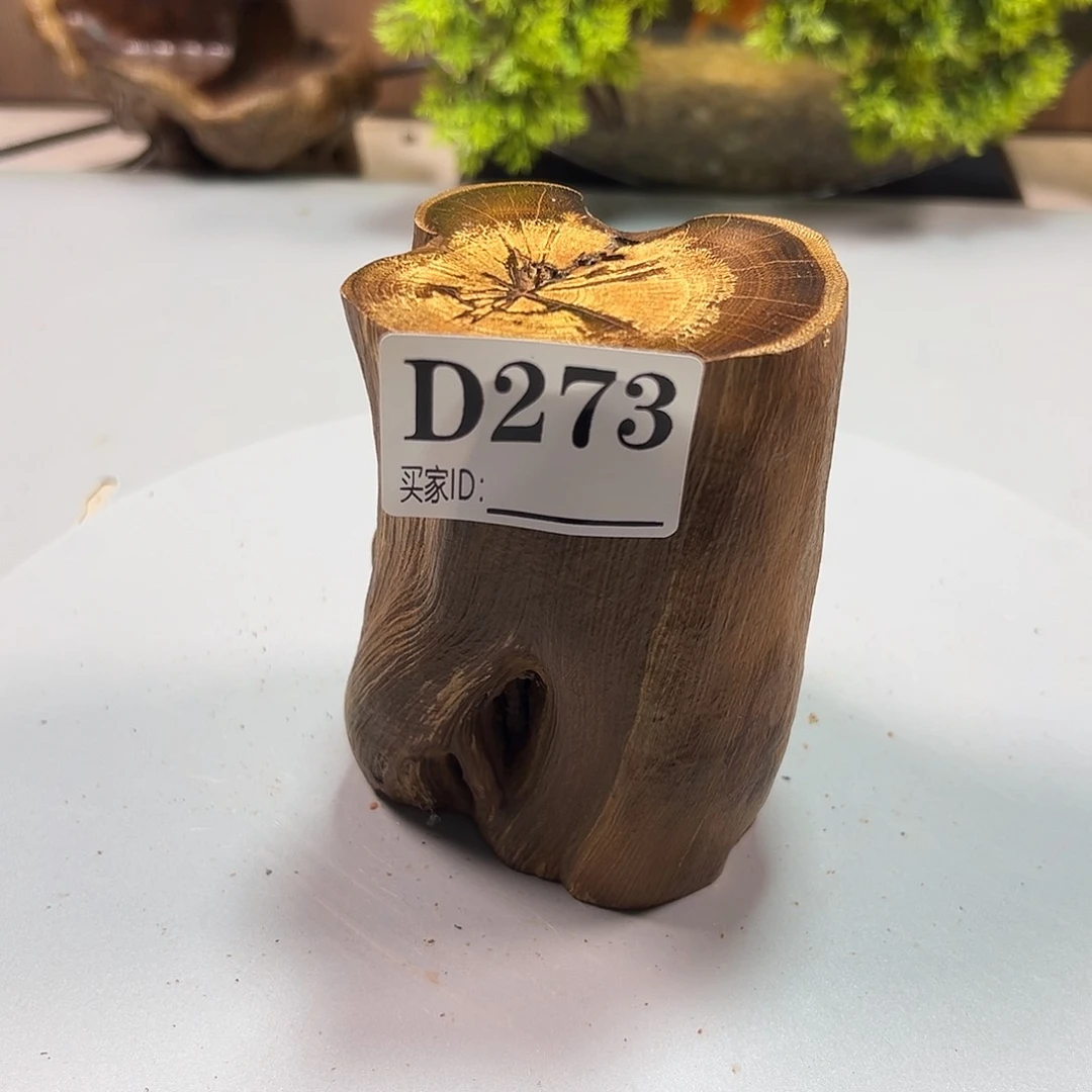 大果紫檀（缅甸花梨）辛***～