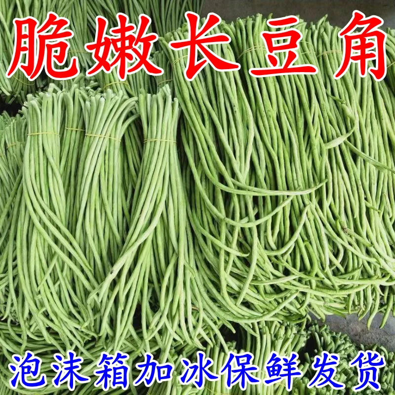 脆嫩豇豆长豆角新鲜农家蔬菜当季时令酸豆角可腌菜泡菜批发青缸豆