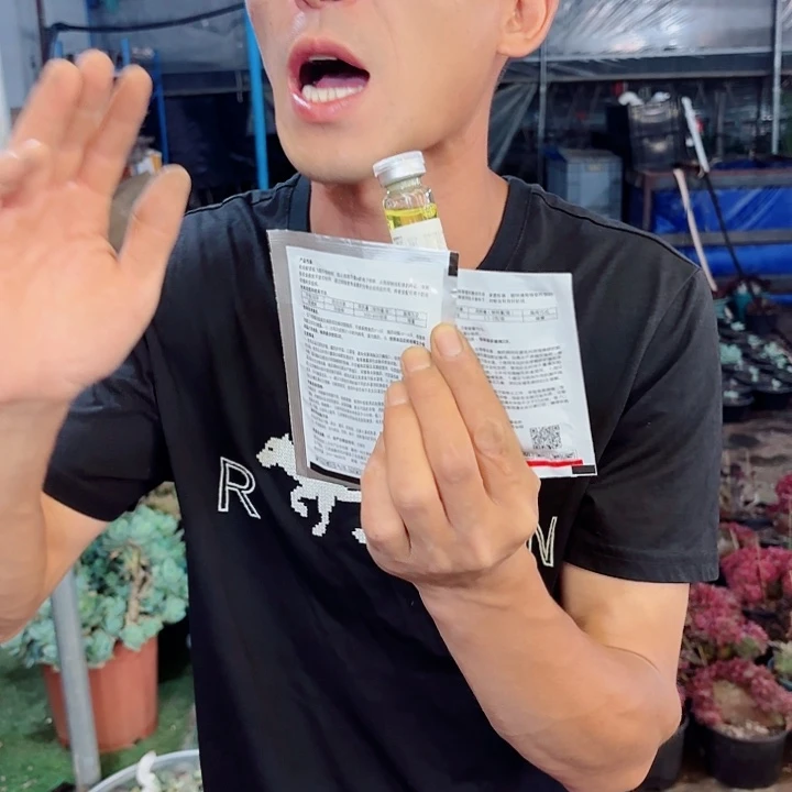 多肉养护套装组合