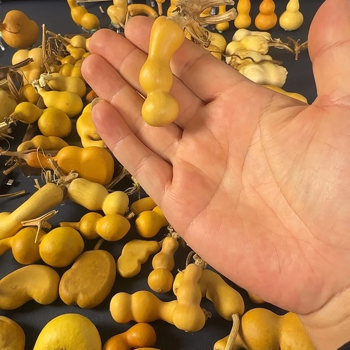 丢***丢二哥还将举办v出j经济后果方法