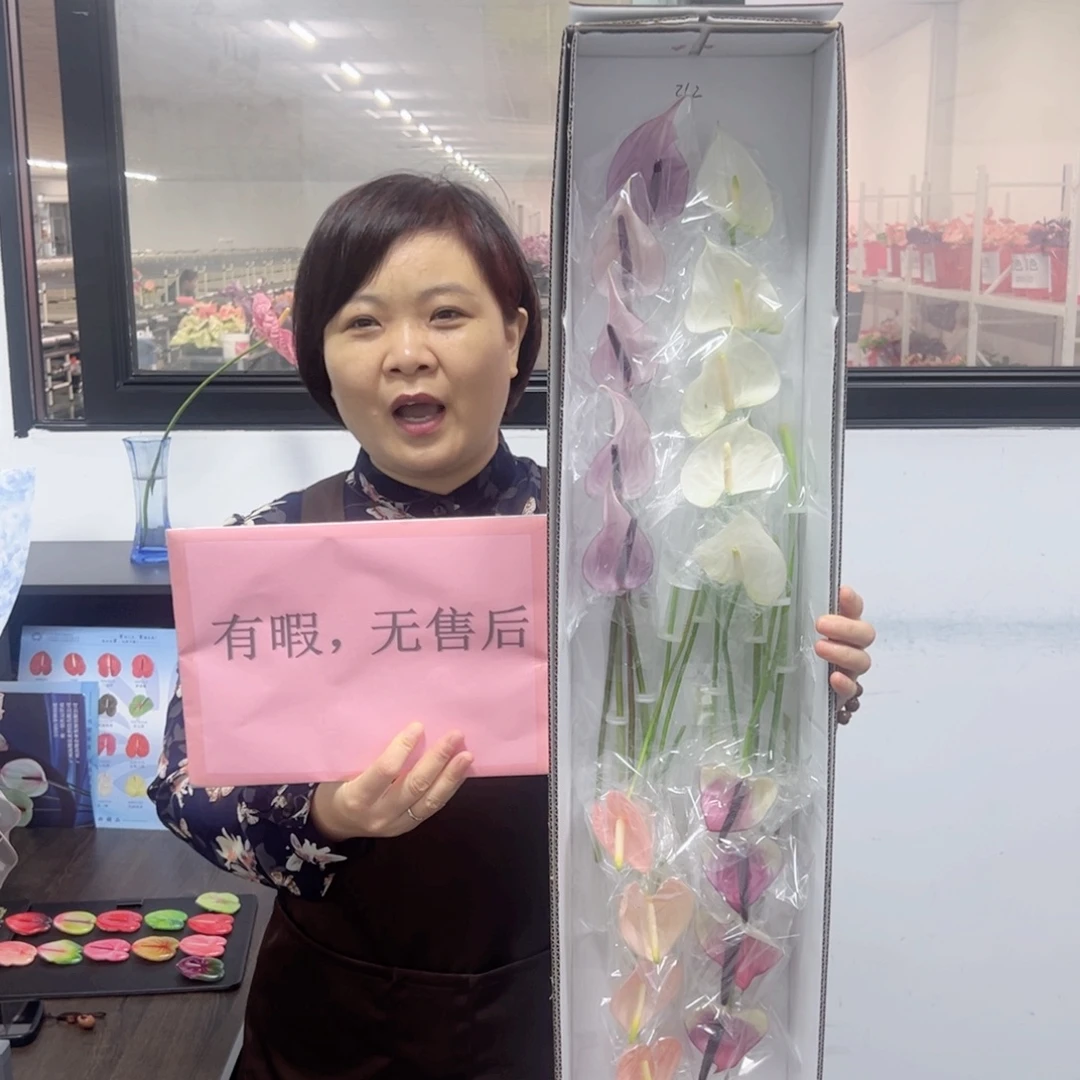 完全开放混色-20枝装无售后款212