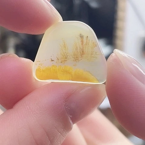 玛瑙/玉髓珠宝奇石未镶嵌