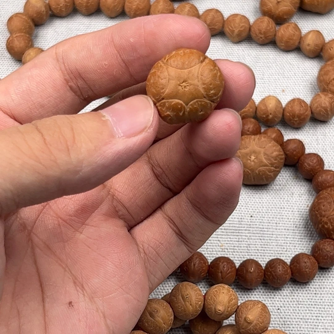手串凤眼菩提20x14.5五星