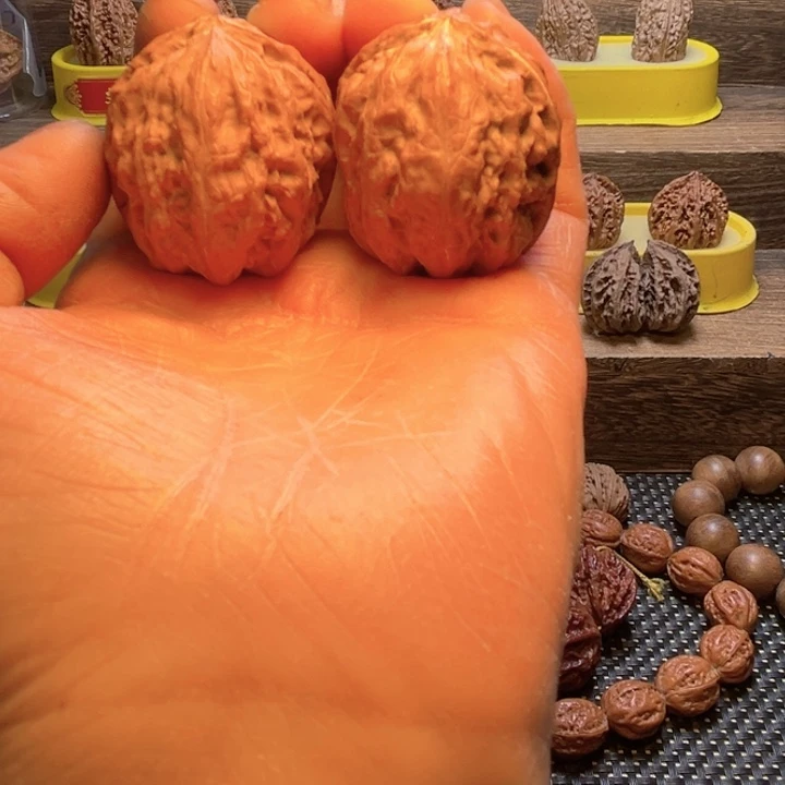 核桃7号车fanglouloulou