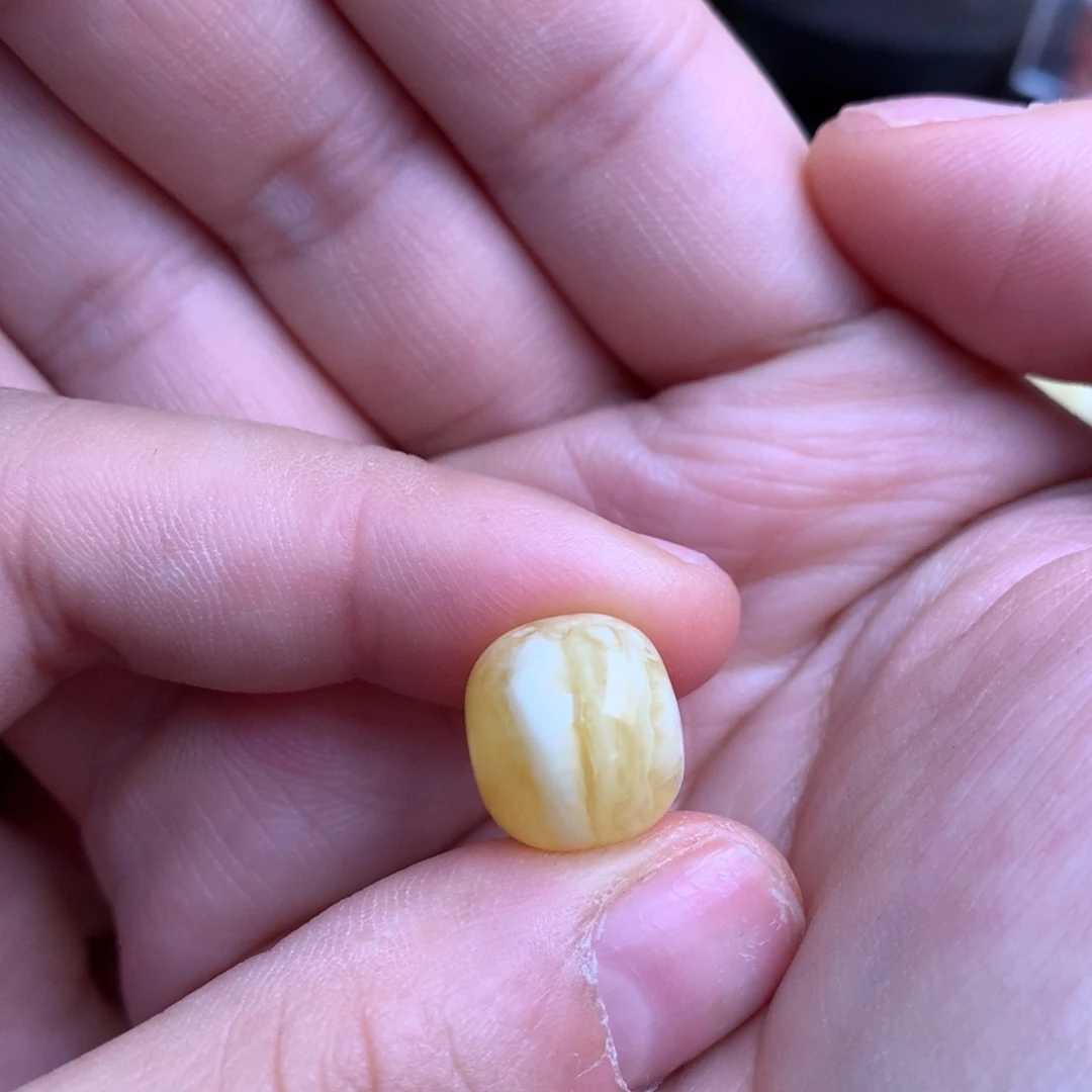 琥珀未镶嵌裸石蜜蜡13