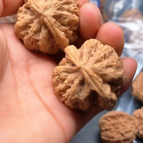 文玩核桃把件粗筋45