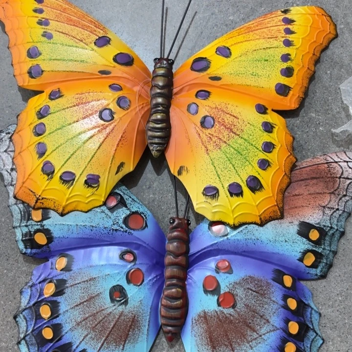 瓷片样品样品样品样品蝴蝶两个