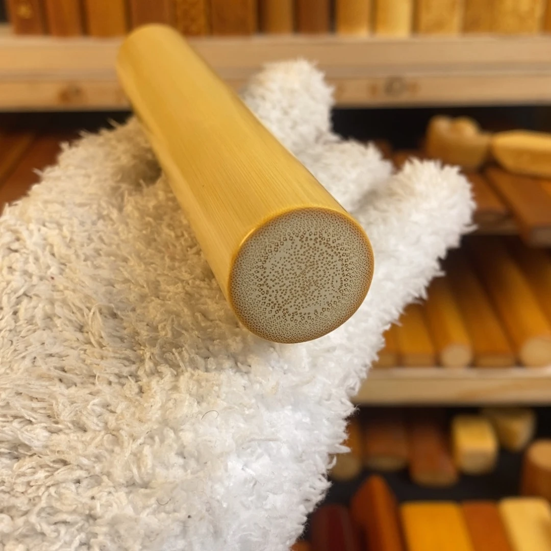 竹实心玉竹 一物一图