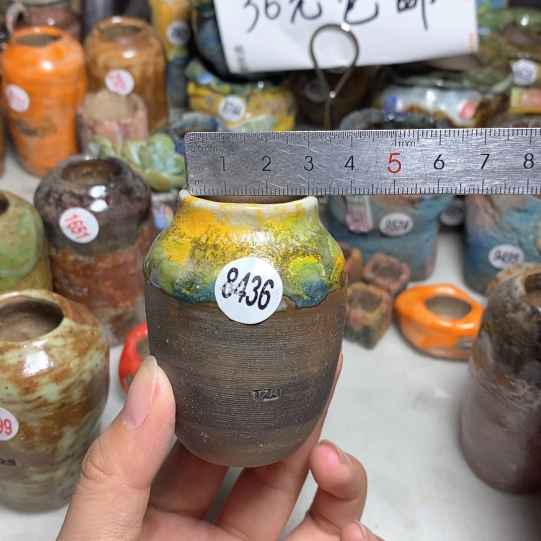 拍5送一个小礼物