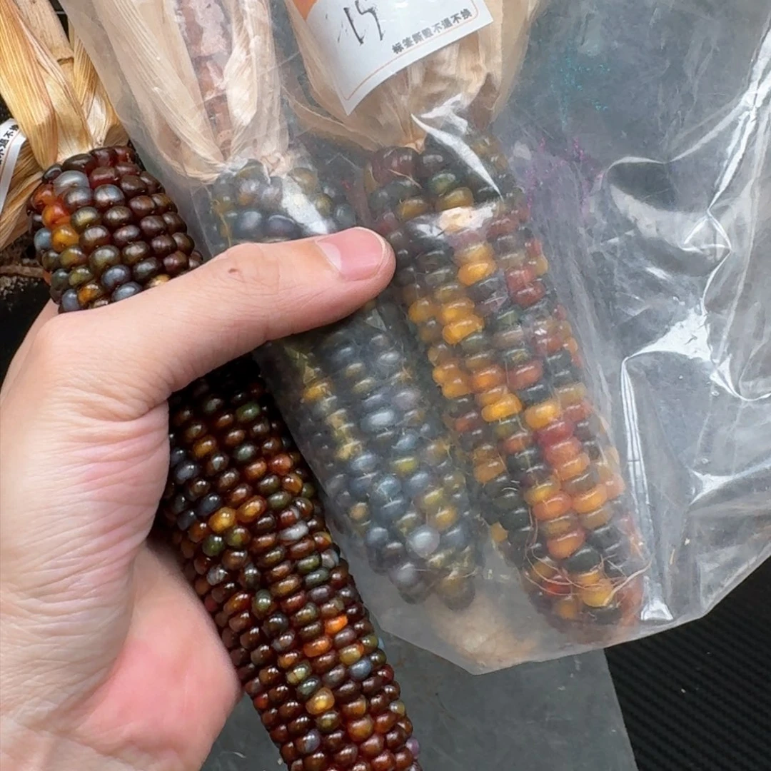 柏香籽/百香籽吊坠柚***檬