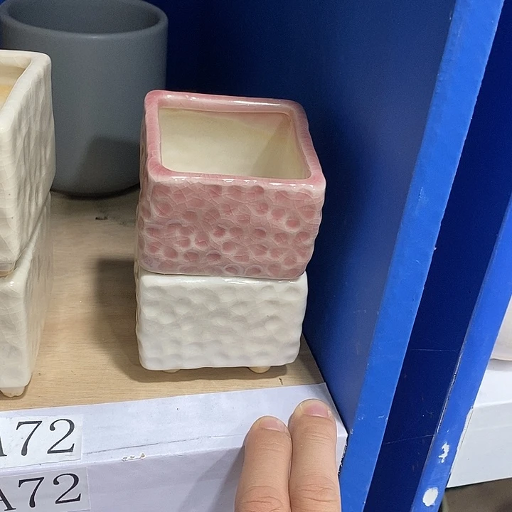 花盆抢购清货马上开始
