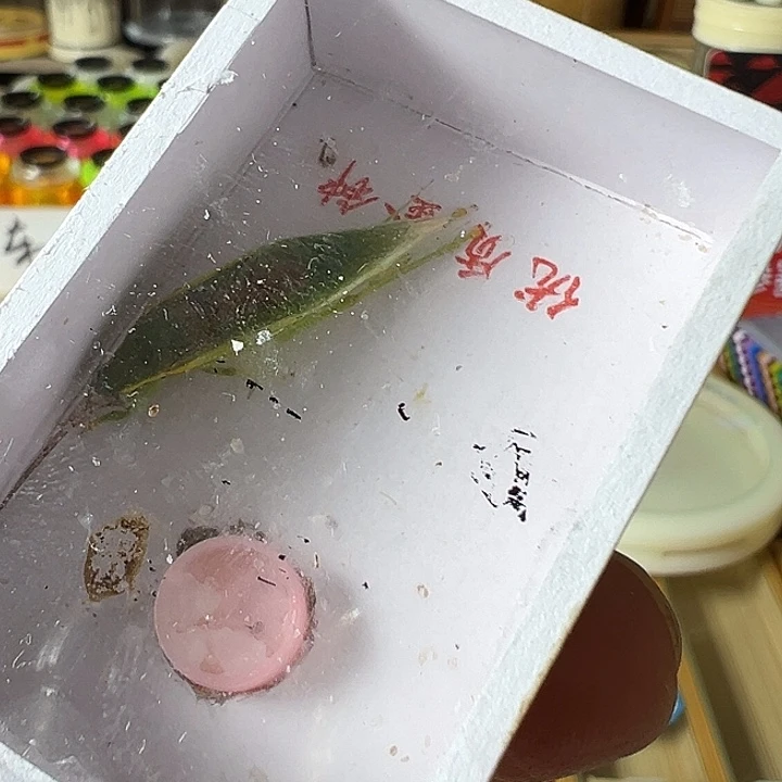 喝***虫一只单口短须金钟