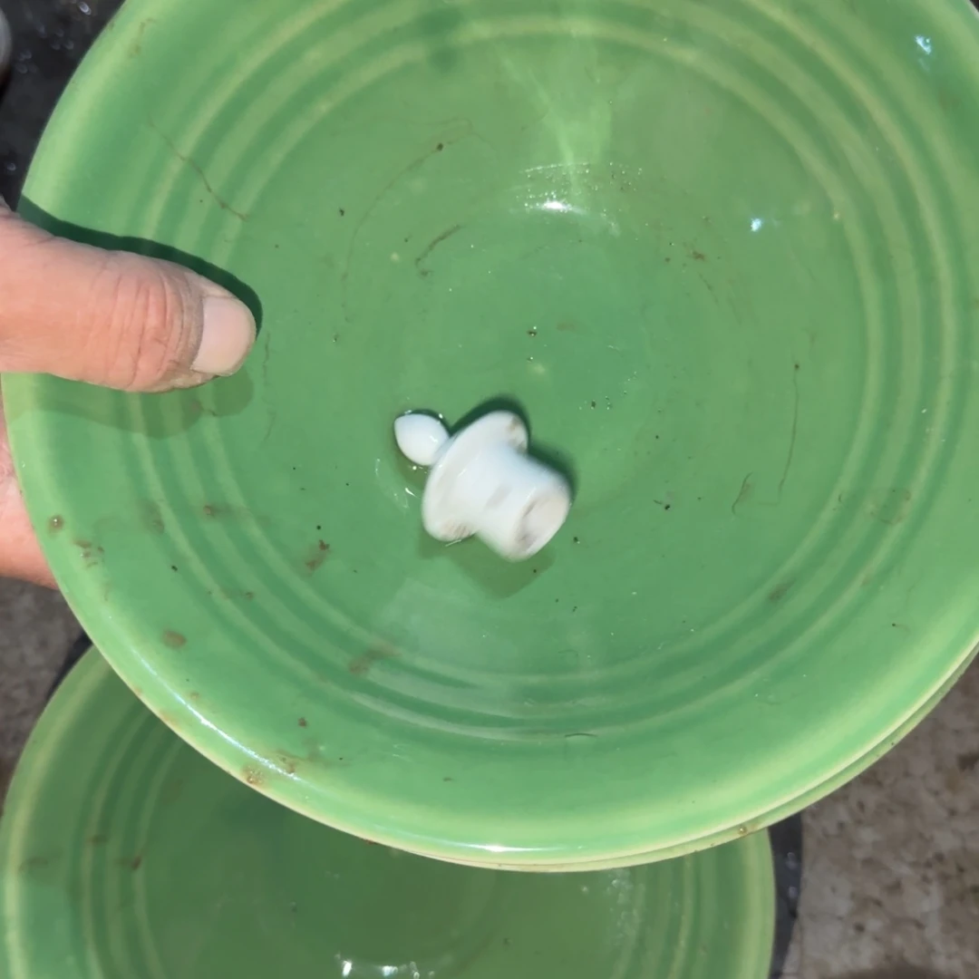 鱼***6老货你在干嘛呢我在