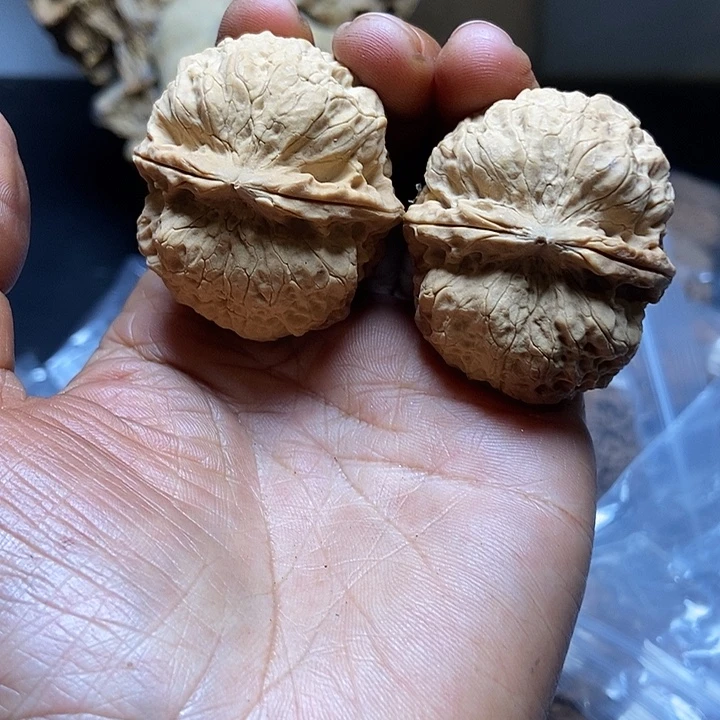 把件文玩核桃云南铁核桃基地34