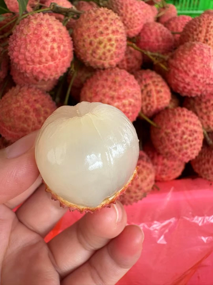 广东高州，桂味荔枝，鲜甜味浓，产地直发荔枝新鲜现摘现发