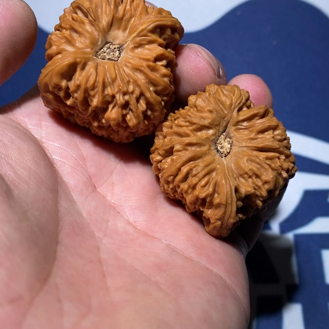 可***天把件文玩核桃凹底南疆
