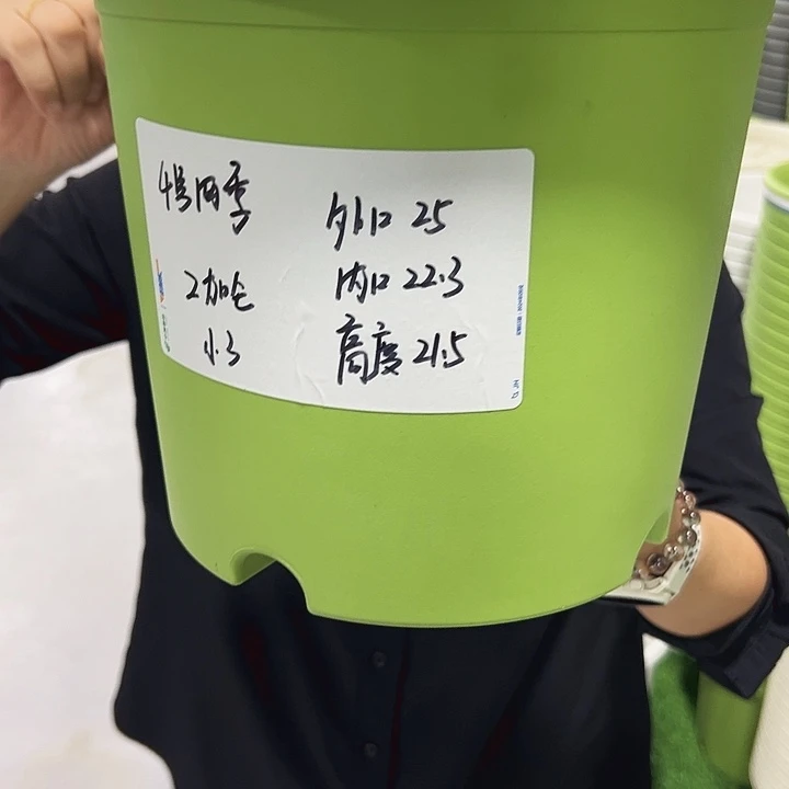 正品四季口25高21.5果绿无托8只