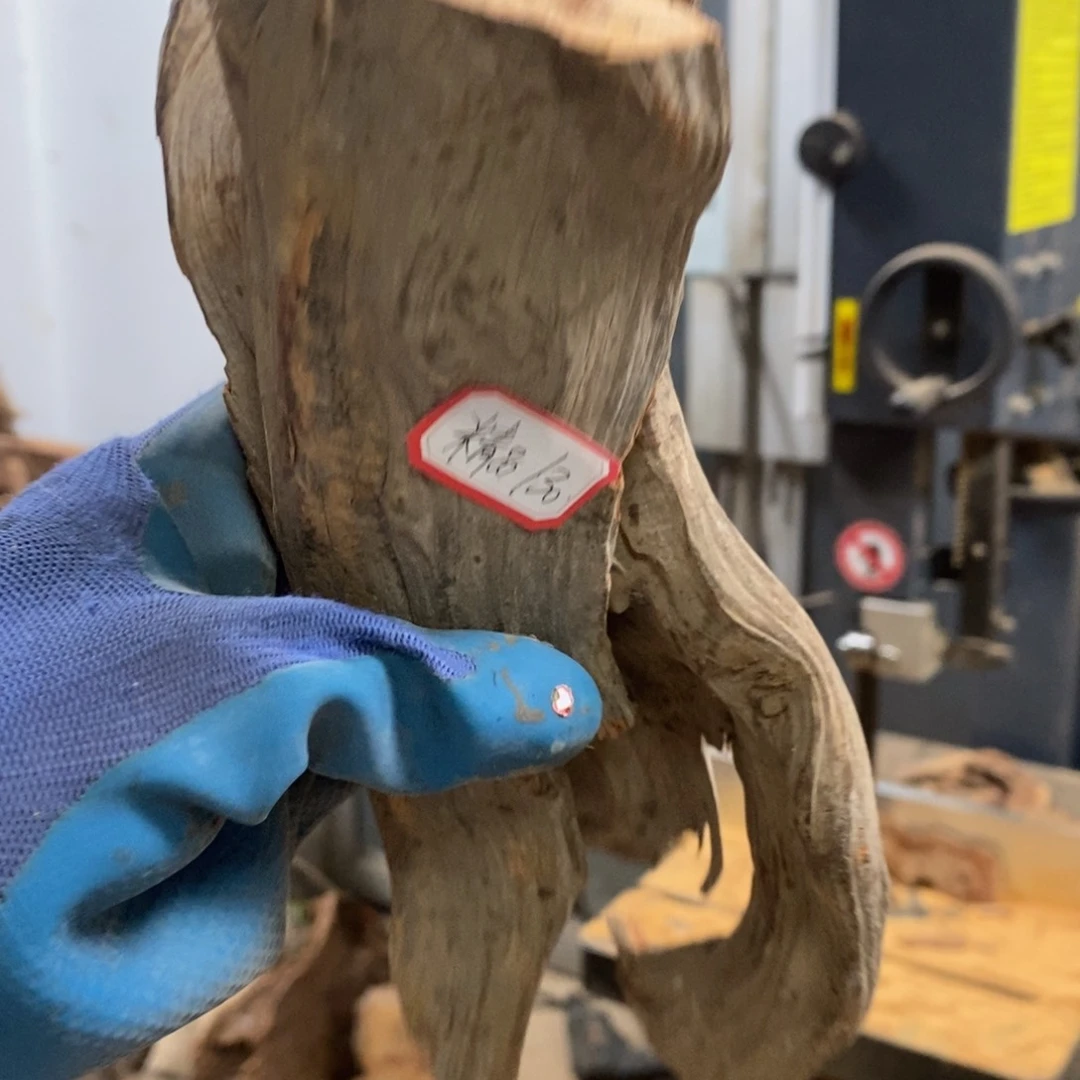 柏木精****套我们都是好孩子