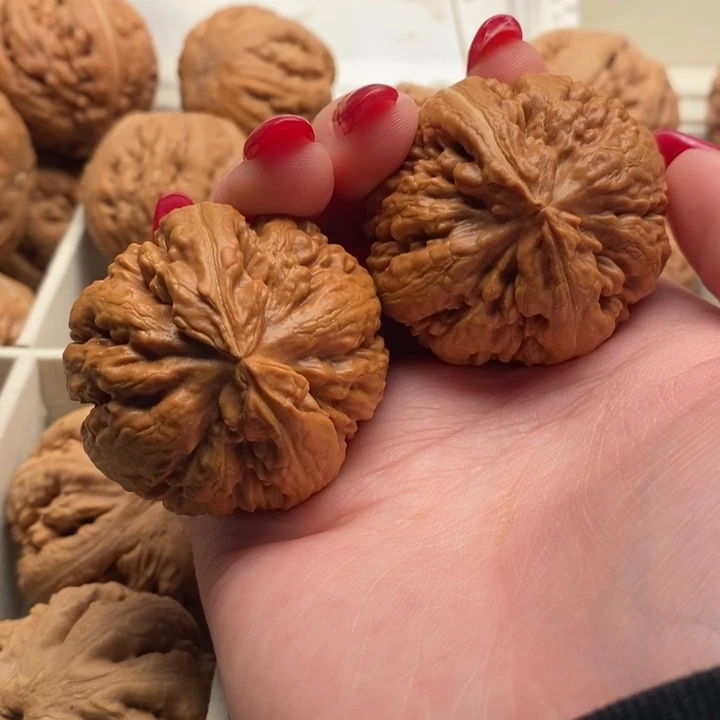 L***3文玩核桃把件霸王龙