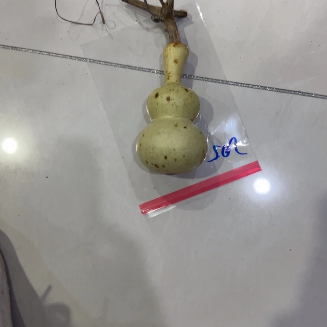 草***歌青皮不包成，，，，，，，，，，，，