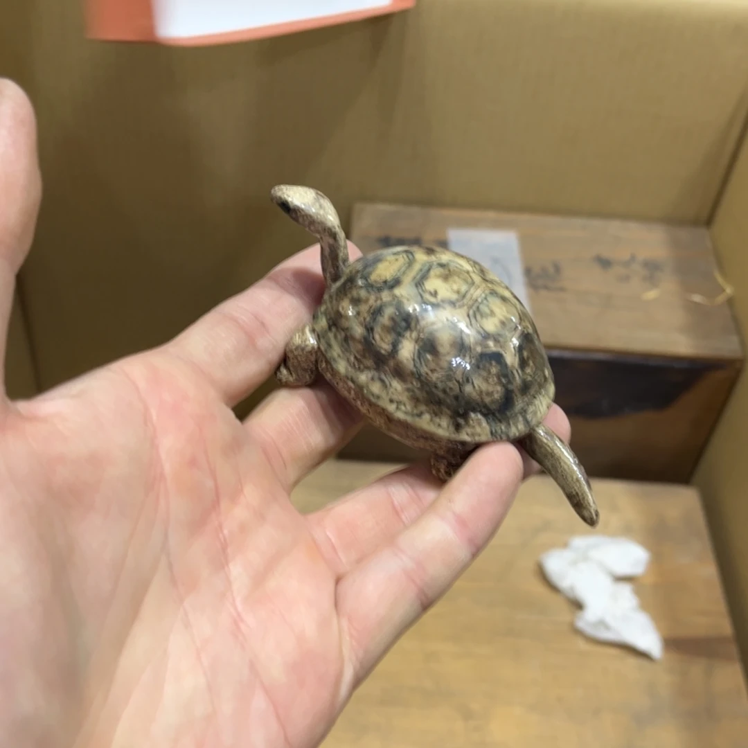 ?****鱼火爆热卖热门茶茶茶