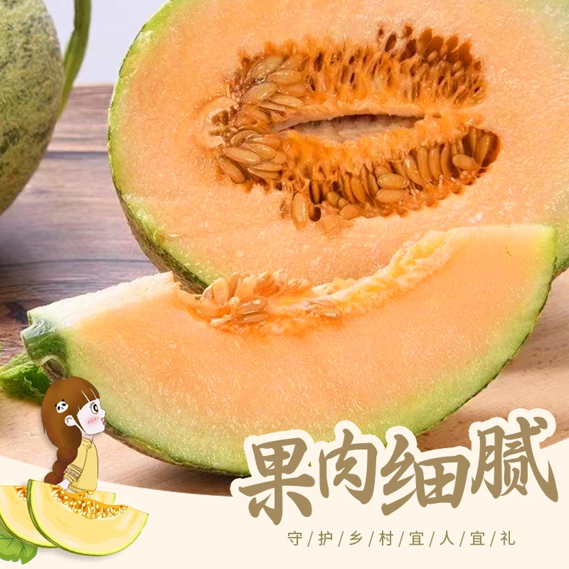 【京东包邮】正宗海南哈密瓜晓密25号西州密薄皮脆甜当季水果