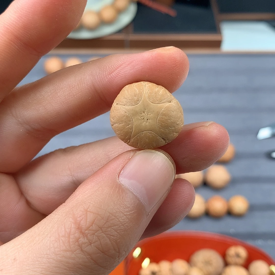 手串凤眼菩提20+五星，非质量问题开孔不退