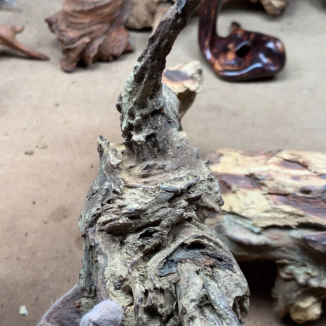 之***又黄花梨/降香黄檀原材料品香料