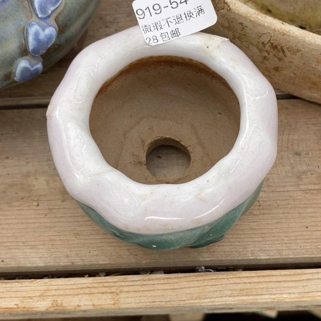 54号多肉盆口径6小可爱