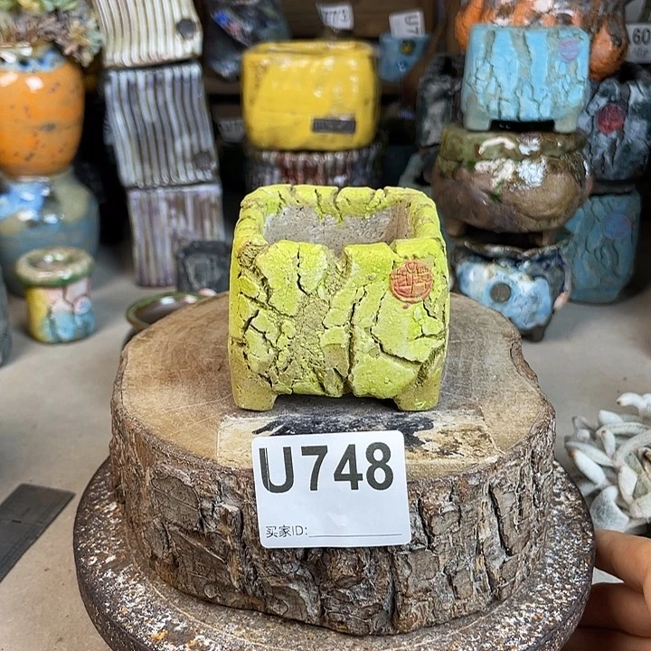 开播福利 陶瓷花盆 默认微次