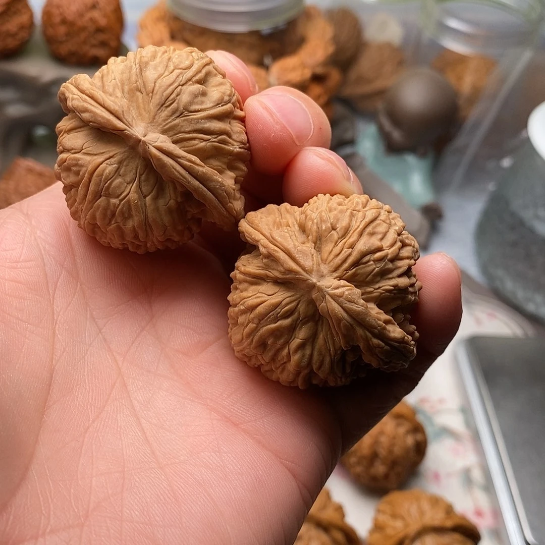 谁***眼把件文玩核桃白狮子