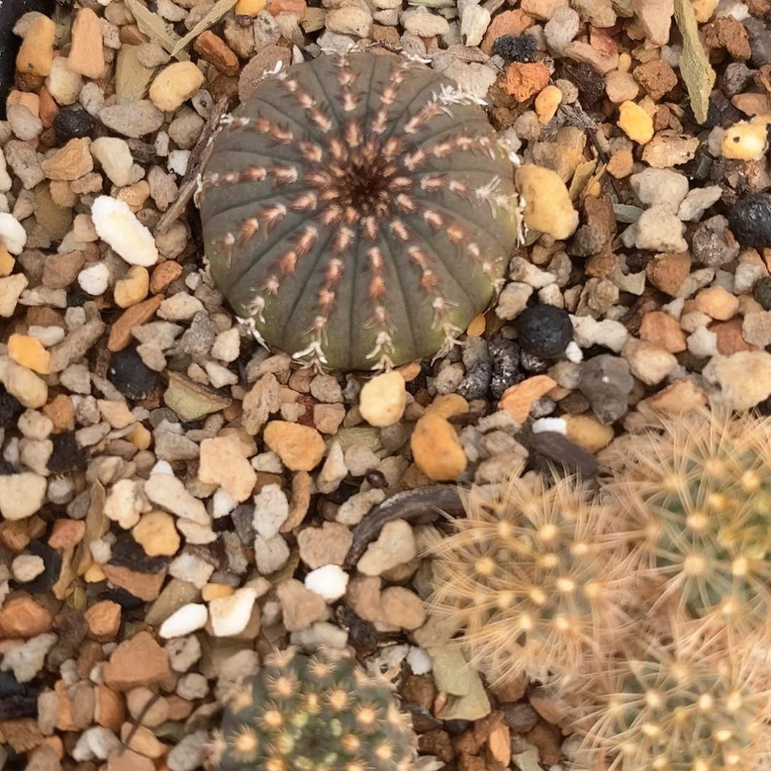 ，****水土土花花花花花花花花