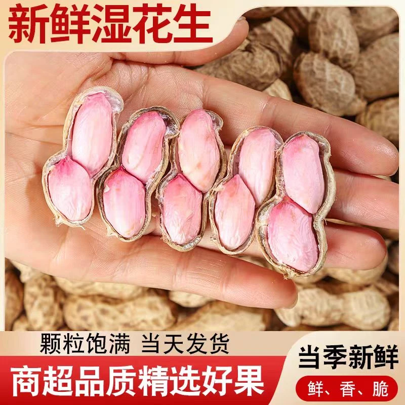 现挖现发2025花生新鲜水煮带壳带泥粉皮湿花生