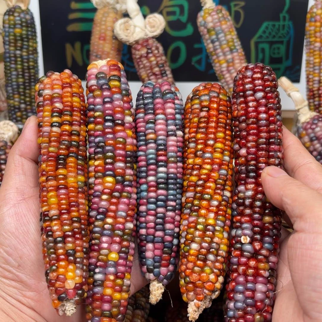 柏香籽/百香籽吊坠一****.