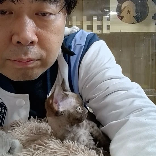 德文卷毛猫新店开业